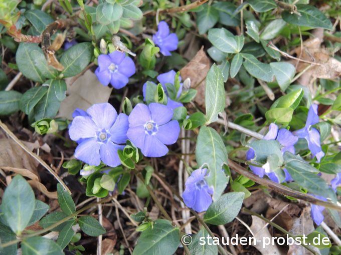 2. April