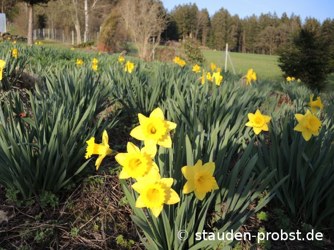 2. April