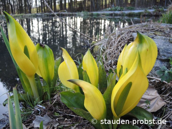 2. April