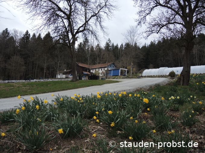3. April