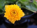 DSCN3379