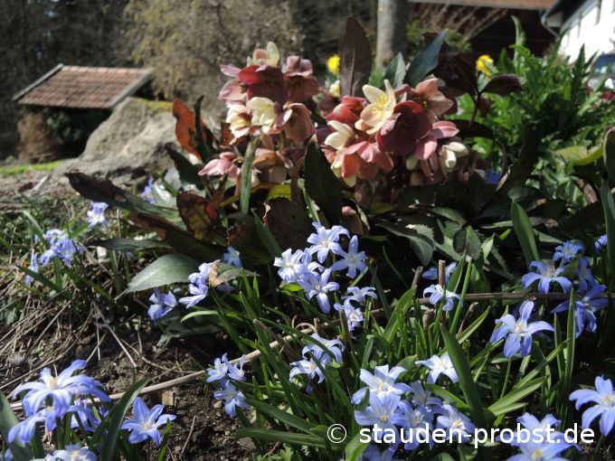 2. April