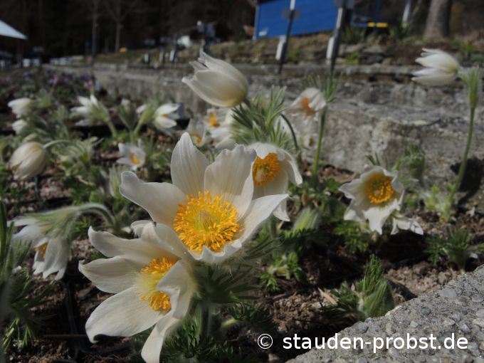 2. April