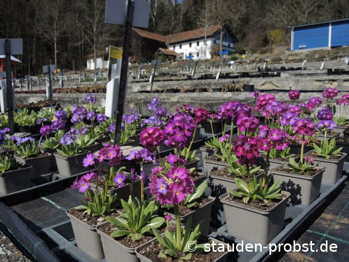 2. April
