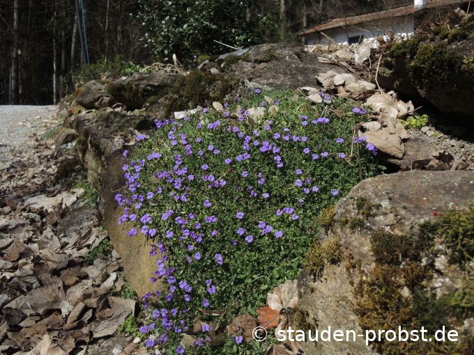 2. April