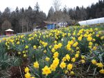 Bilder April 2021