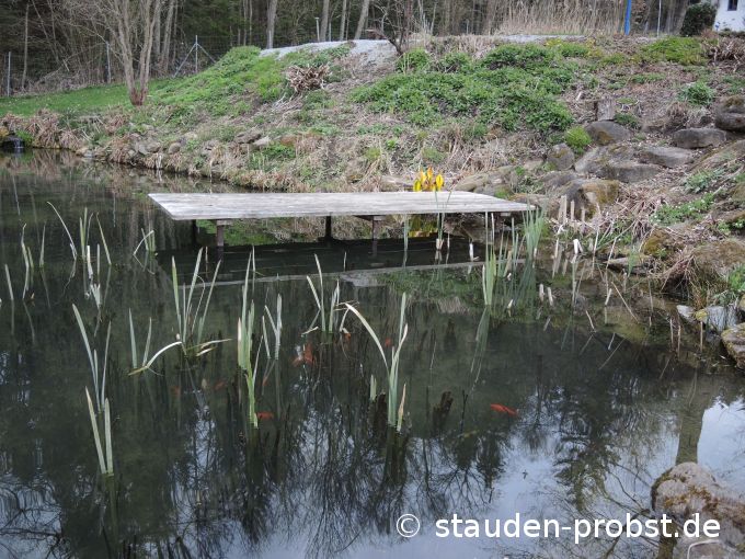 18. April