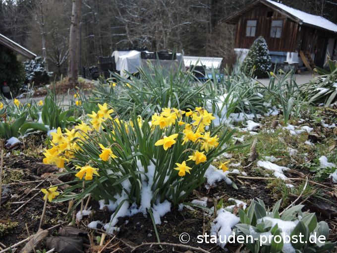 3. April