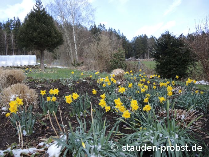 3. April