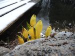 DSCN8747