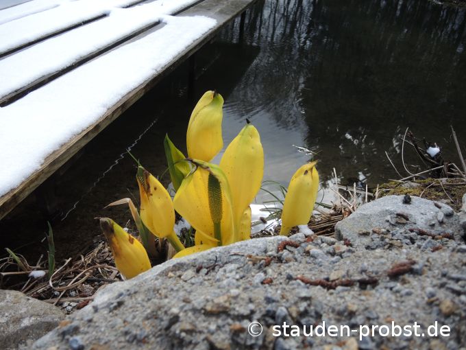 3. April