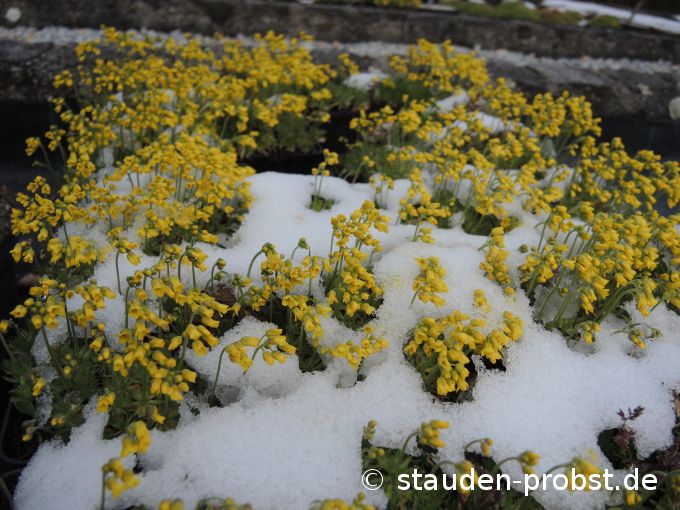 3. April