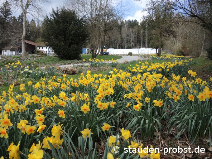 15. April