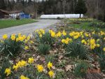 Bilder April 2023