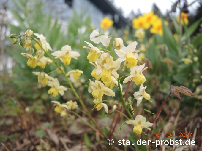1. April