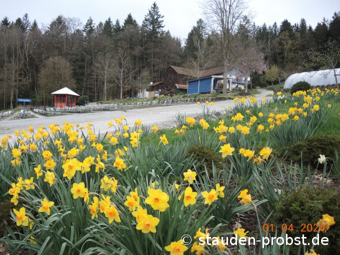 1. April