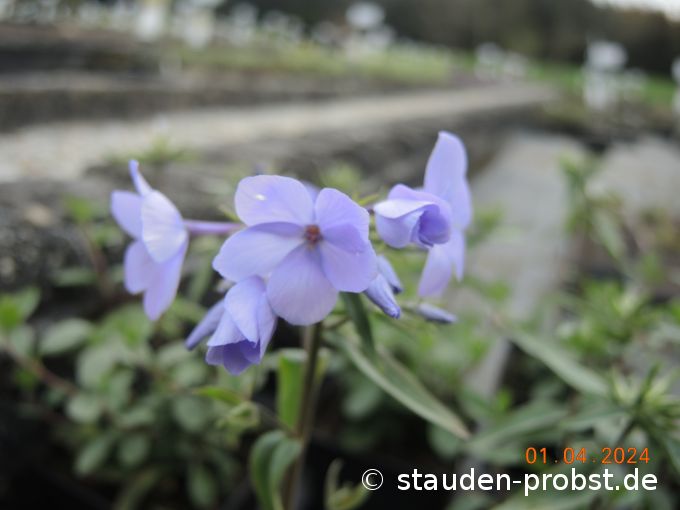 1. April