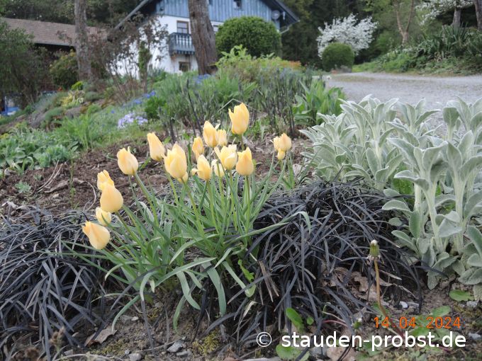 14. April