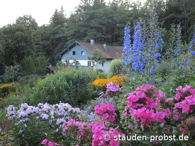 18. August