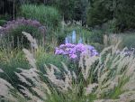 Bilder August 2019