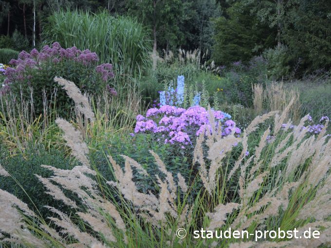 18. August