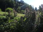 DSCN4512