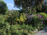 Bilder August 2020