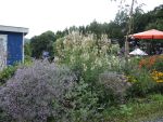 Bilder August 2021
