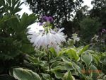 DSCN2302