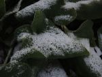 DSCN5678