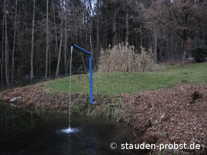 4. Dezember