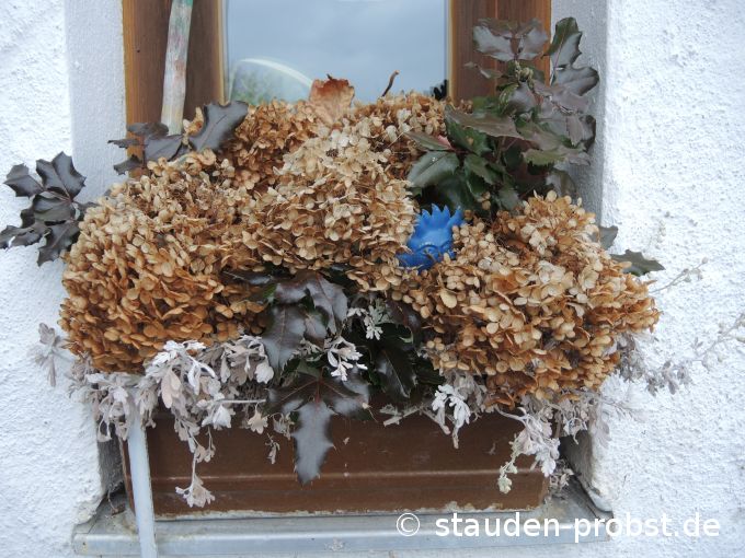 1. Dezember