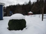 DSCN8274