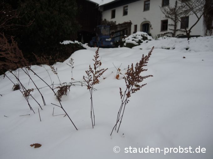 1. Dezember