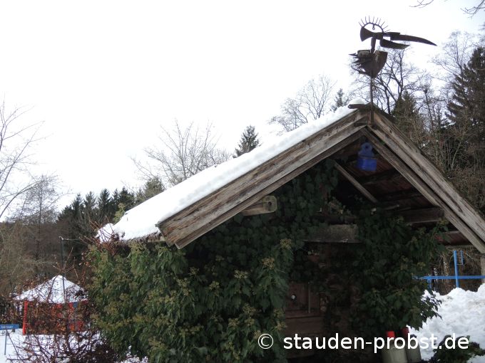 1. Dezember