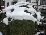 Bilder Dezember 2021