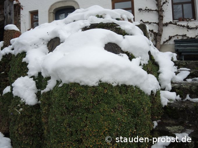 1. Dezember
