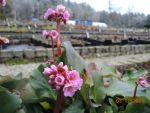 DSCN0760