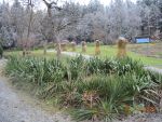 Bilder Dezember 2022