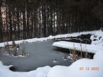 DSCN3495