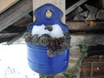 Bilder Dezember 2023
