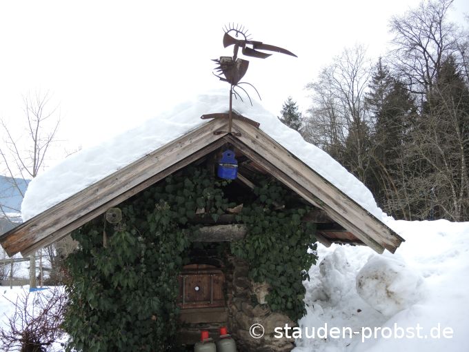 1. Februar