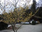 DSCN0297