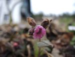 DSCN0357
