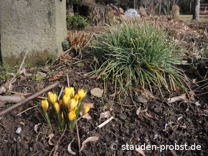 15. Februar