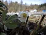 Bilder Februar 2020
