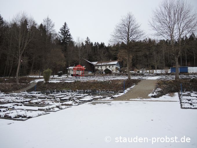 15. Februar