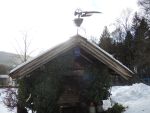 DSCN8377