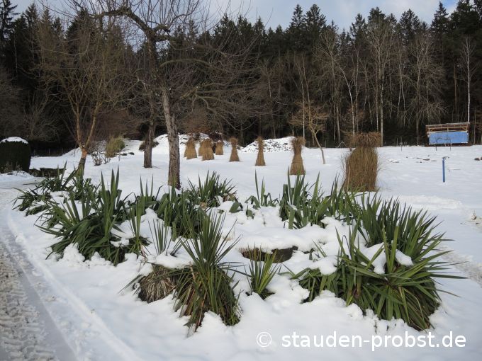 2. Februar
