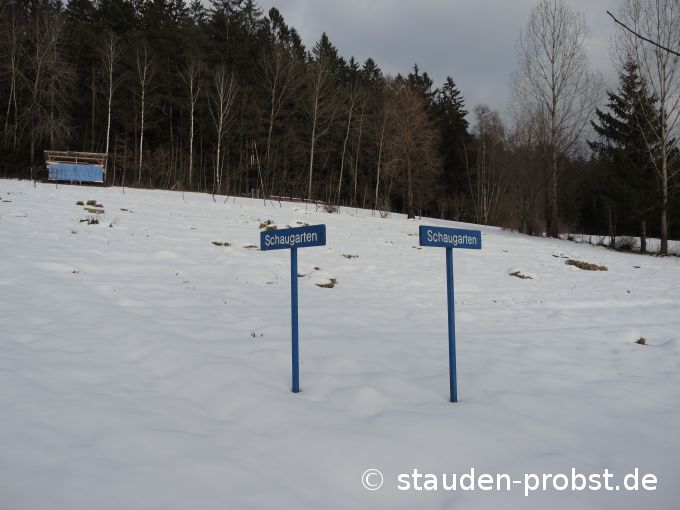 2. Februar